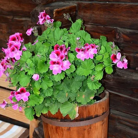 Schett Holiday home Innervillgraten